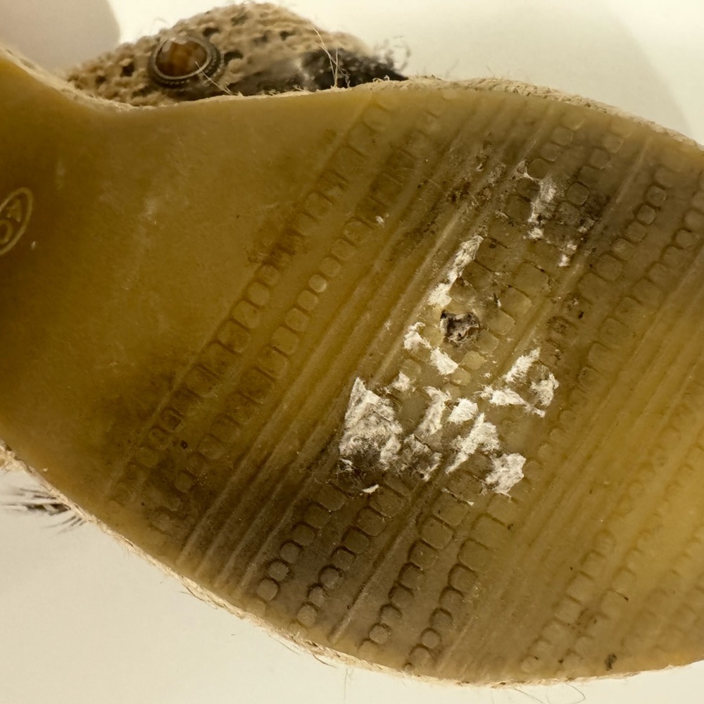 2/$20 Buonarotti Espadrille Mules with feathers, beads, and shells. - Picture 11 of 11
